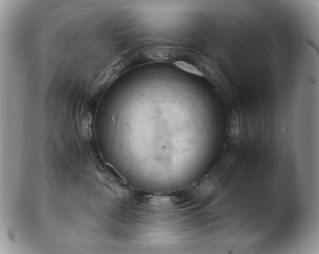 X0000103140332200808221221