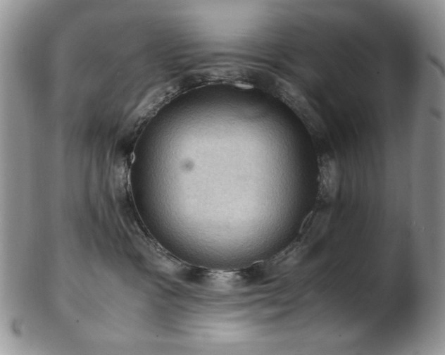 X0000103140333200808221221