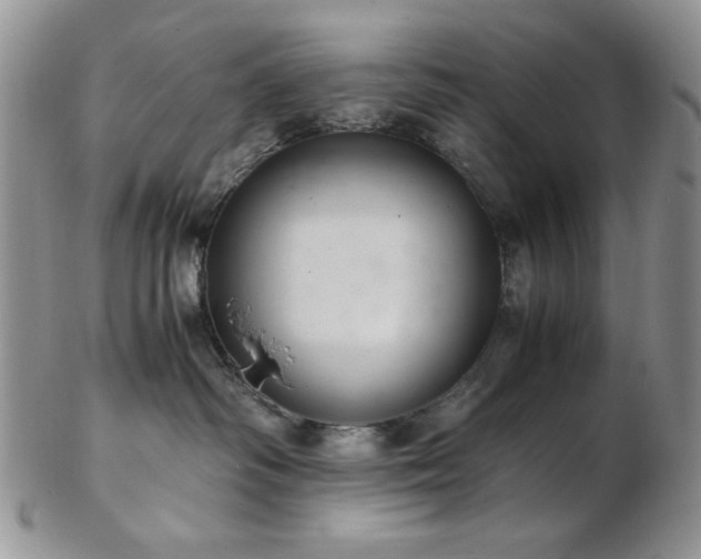 X0000103140334200808221221