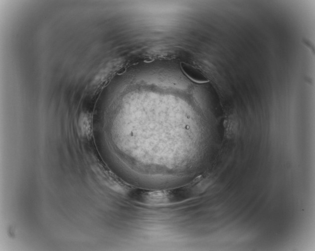 X0000103140335200808221221