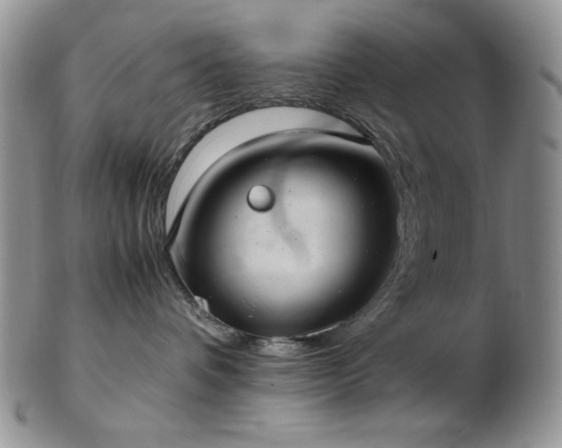 X0000103140336200808221221