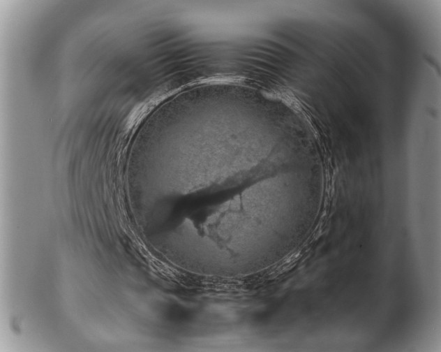 X0000103140337200808221221