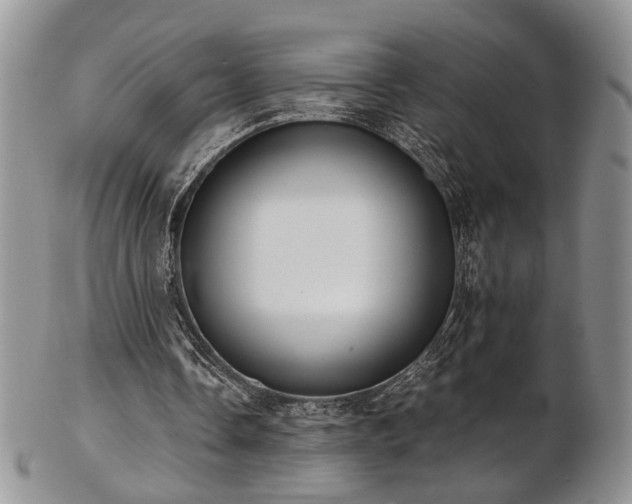 X0000103140338200808221221