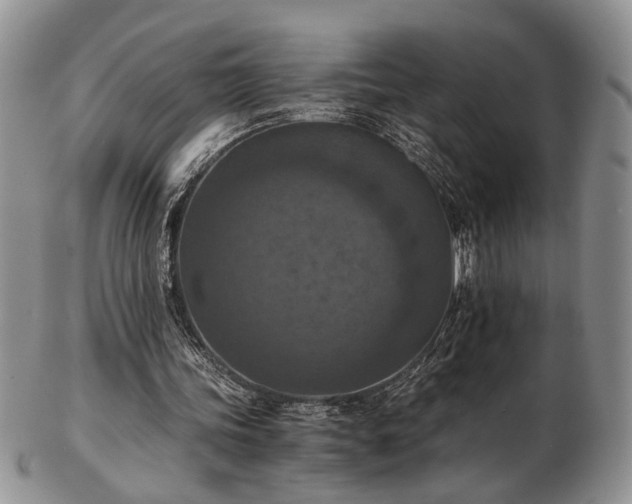 X0000103140339200808221221