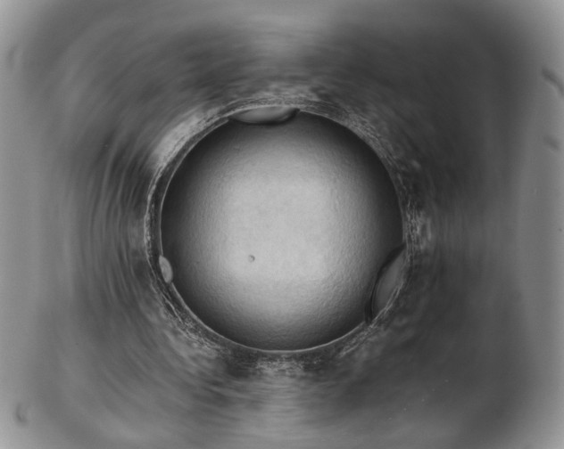 X0000103140340200808221221