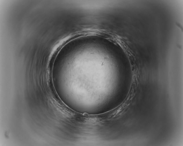 X0000103140342200808221221