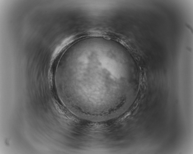 X0000103140343200808221221