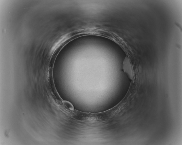 X0000103140344200808221221