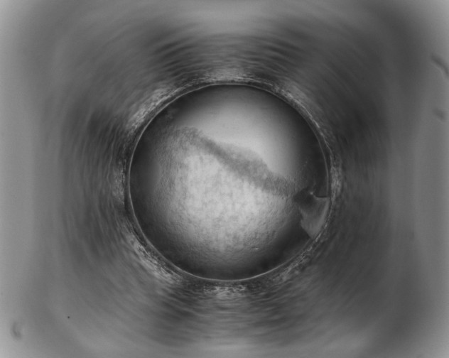 X0000103140345200808221221