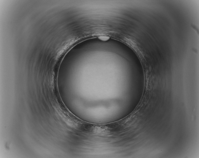 X0000103140346200808221221