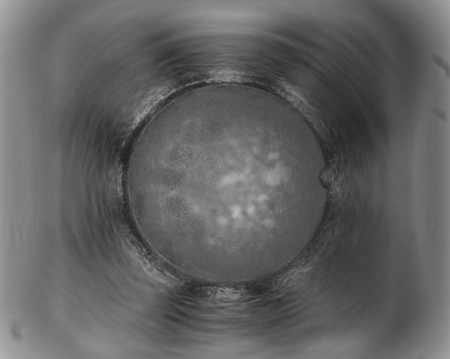 X0000103140347200808221221