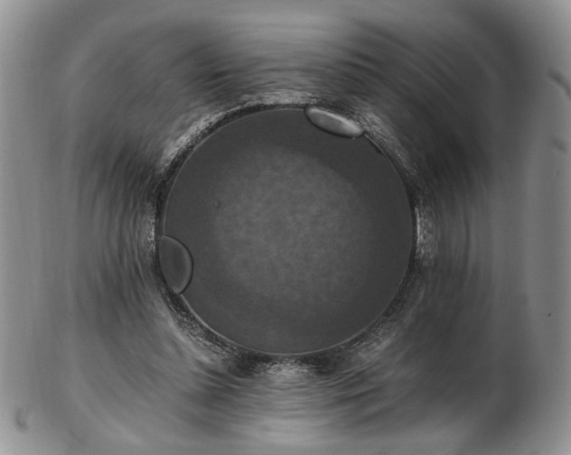 X0000103140348200808221221