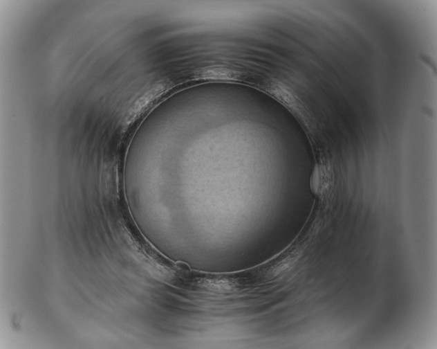 X0000103140349200808221221