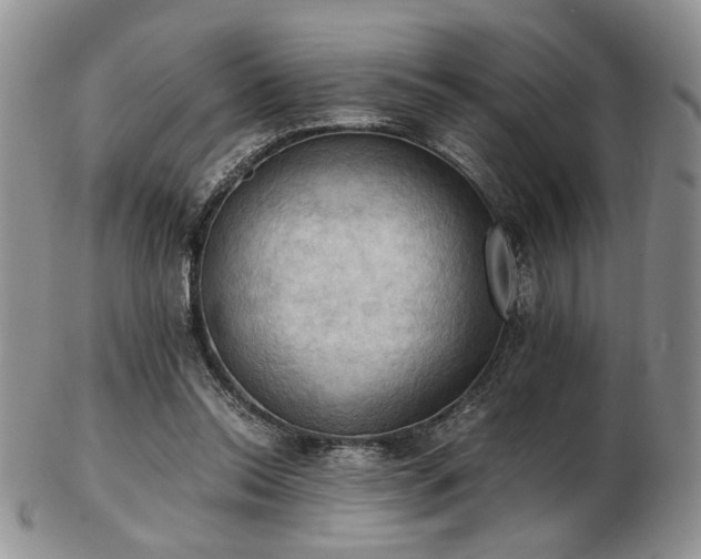 X0000103140350200808221221