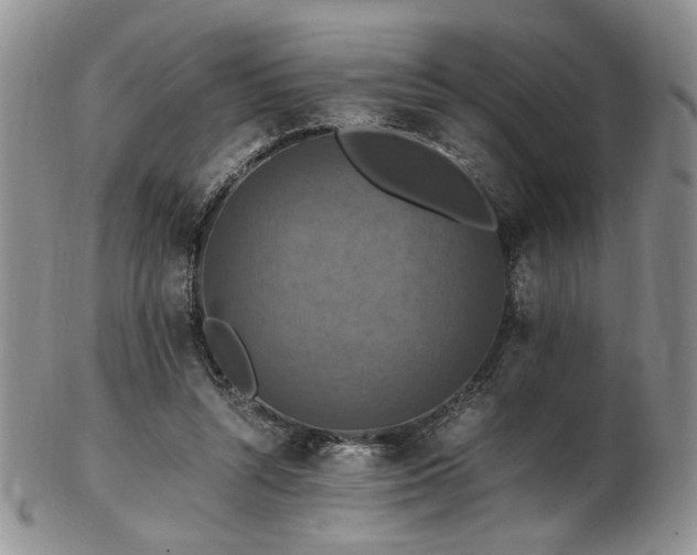 X0000103140352200808221221