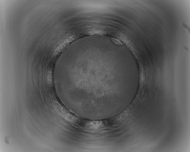 X0000103140353200808221221