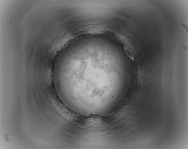 X0000103140354200808221221