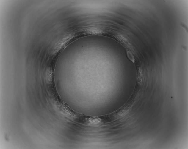 X0000103140355200808221221