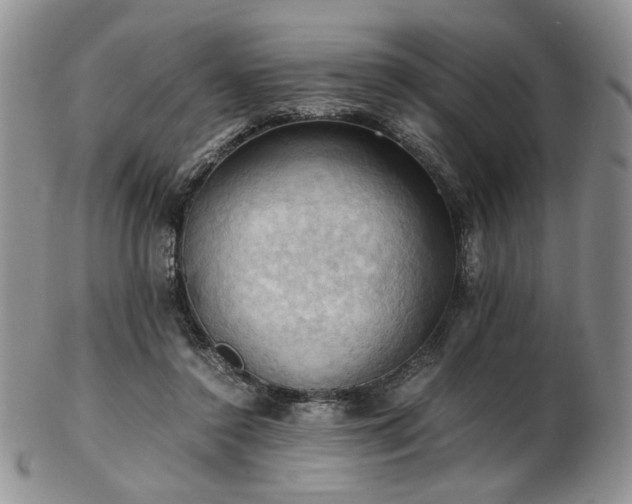 X0000103140356200808221221