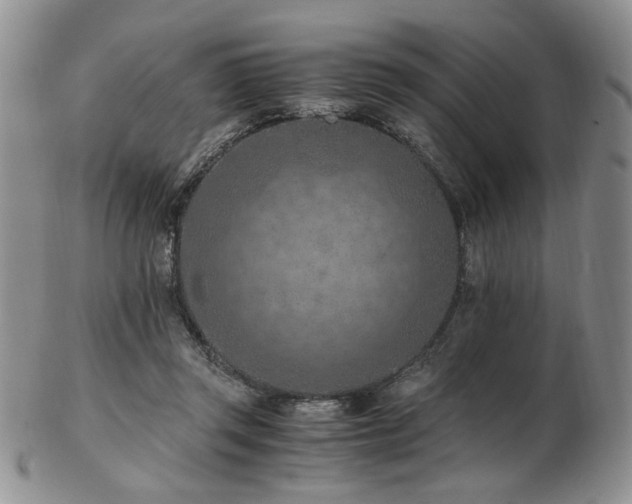 X0000103140357200808221221