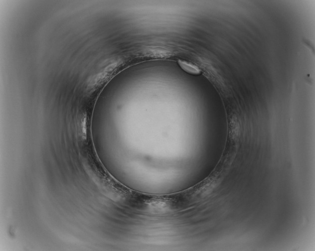 X0000103140358200808221221