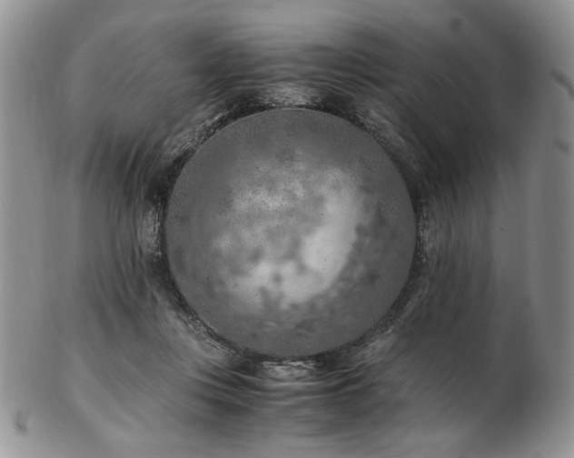 X0000103140359200808221221