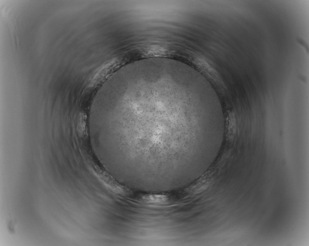 X0000103140361200808221221