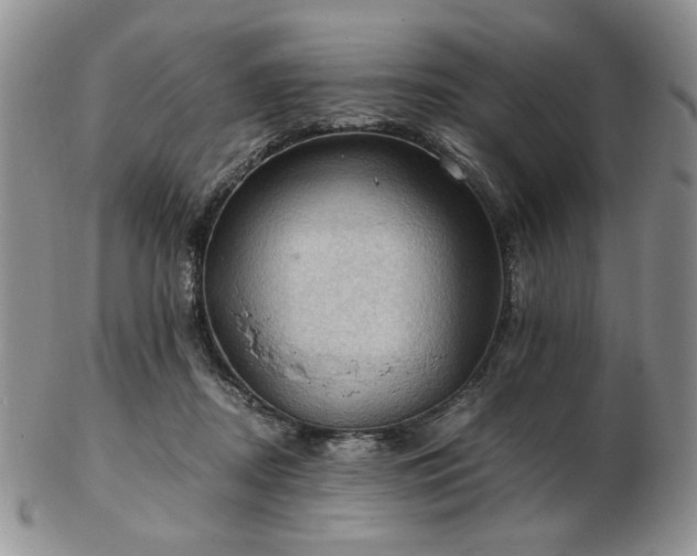 X0000103140362200808221221