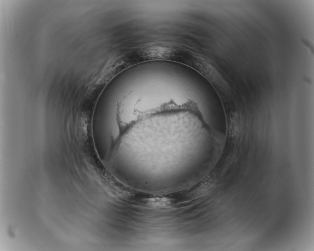 X0000103140363200808221221