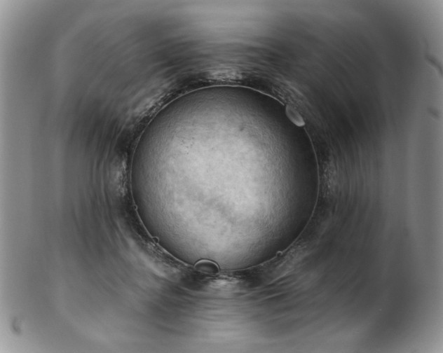 X0000103140364200808221221