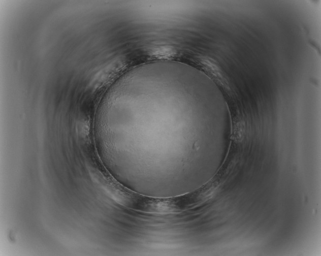 X0000103140365200808221221