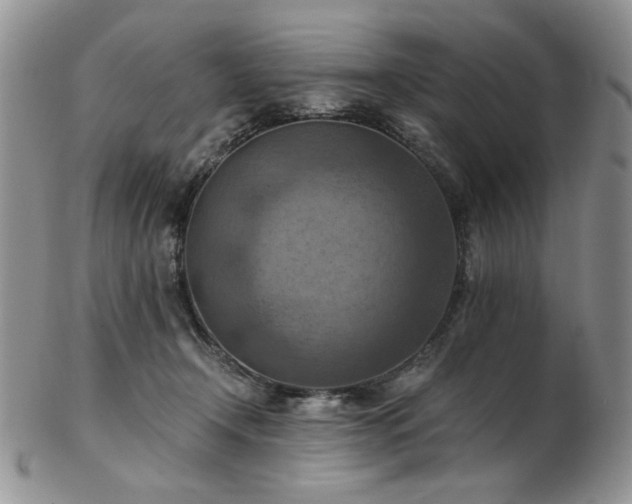 X0000103140366200808221221