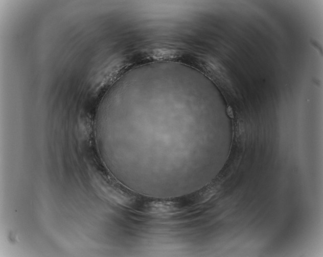 X0000103140367200808221221