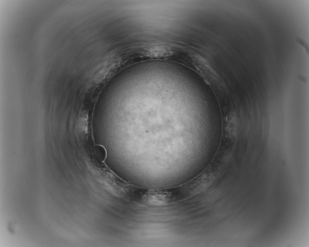 X0000103140368200808221221