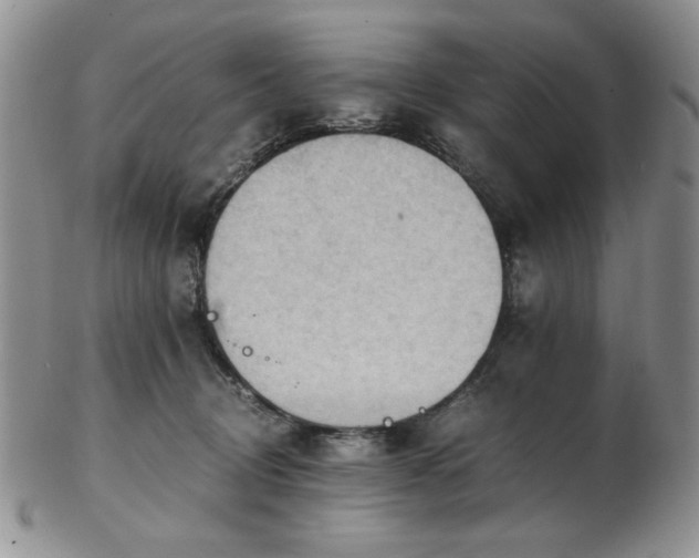 X0000103140370200808221221