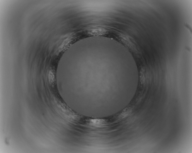 X0000103140371200808221221