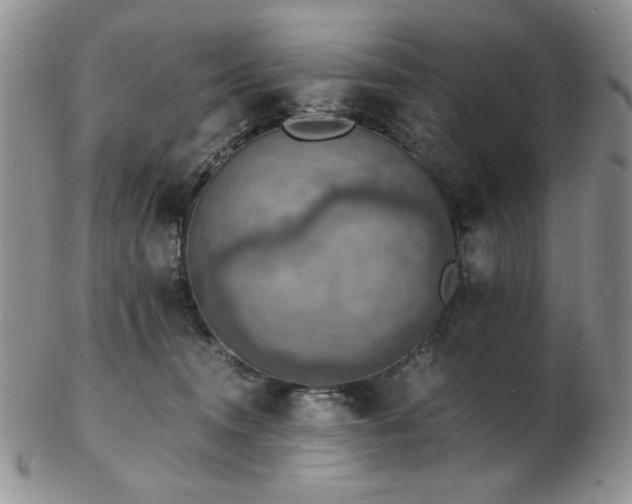 X0000103140372200808221221