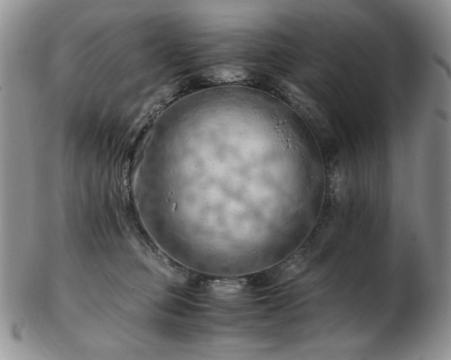 X0000103140373200808221221