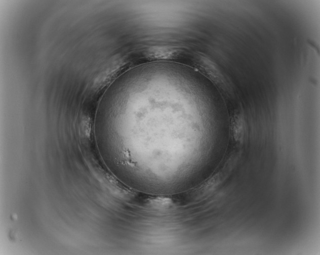 X0000103140374200808221221