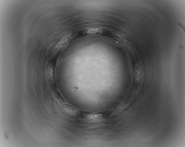 X0000103140375200808221221