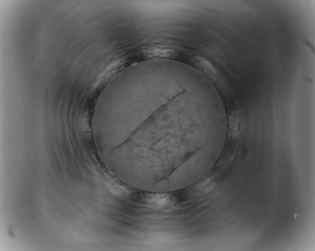 X0000103140377200808221221