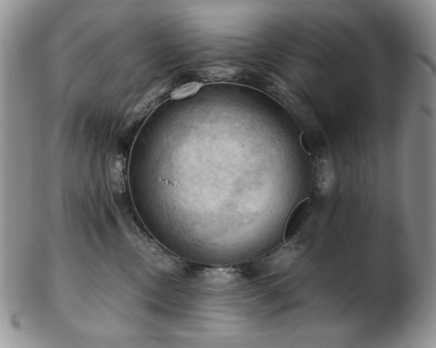 X0000103140378200808221221