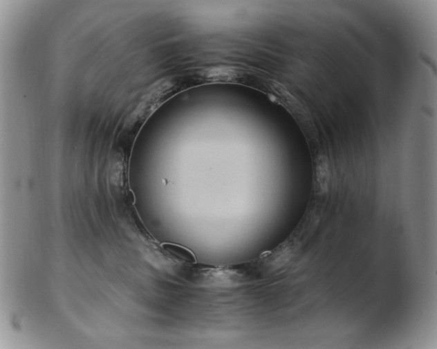 X0000103140379200808221221