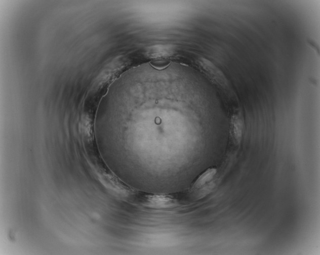 X0000103140380200808221221