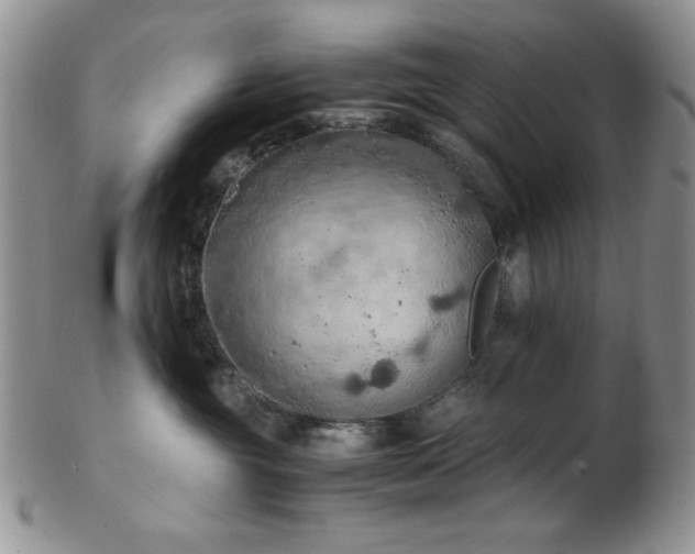 X0000103140381200808221221