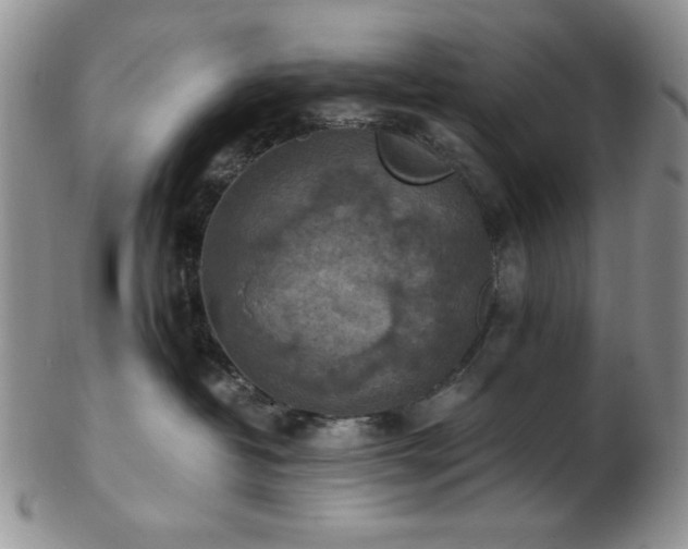 X0000103140382200808221221