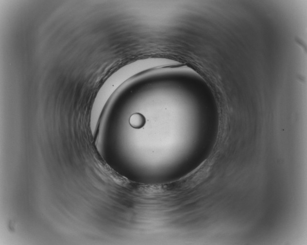 X0000103140384200808221221