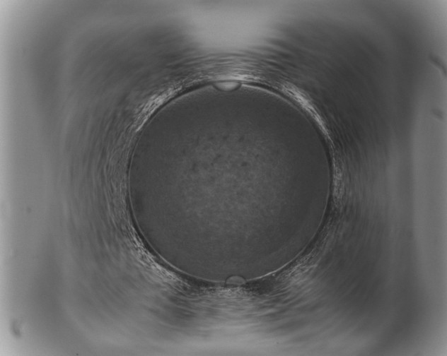 X0000103140385200808221221