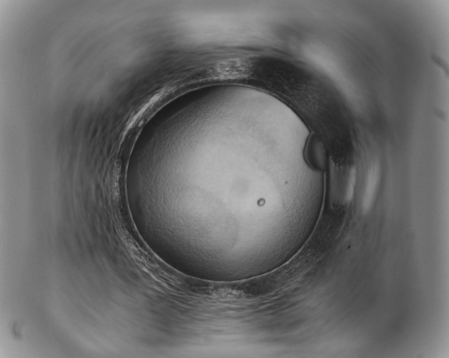 X0000103140387200808221221