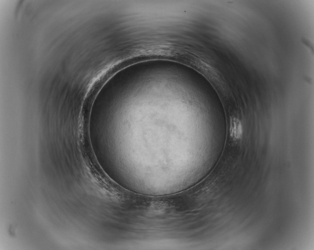 X0000103140388200808221221